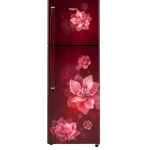 Whirlpool 265 L Frost Free Double Door 2 Star Refrigerator  (Wine Mulia, NEO 278LH PRM (2s)-N)