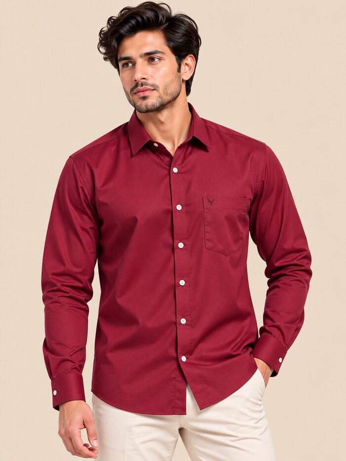 Regular Fit Full Sleeve Solid Casual Shirt