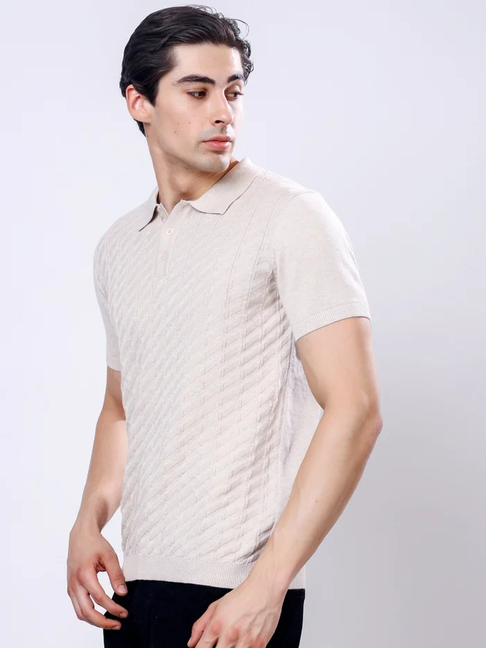 Regular Fit Half Sleeve Solid Casual Polo T-Shirt Beige - Image 3