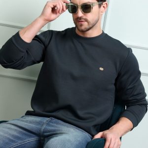 Regular Fit Round Neck Full Sleeve Solid Casual Sweatshirt