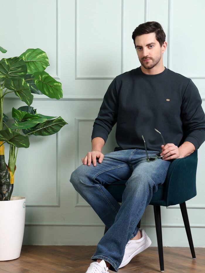 Regular Fit Round Neck Full Sleeve Solid Casual Sweatshirt - Image 6