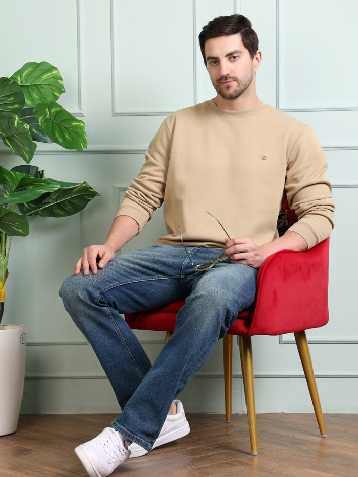 Regular Fit Round Neck Full Sleeve Solid Casual Sweatshirt - Image 4
