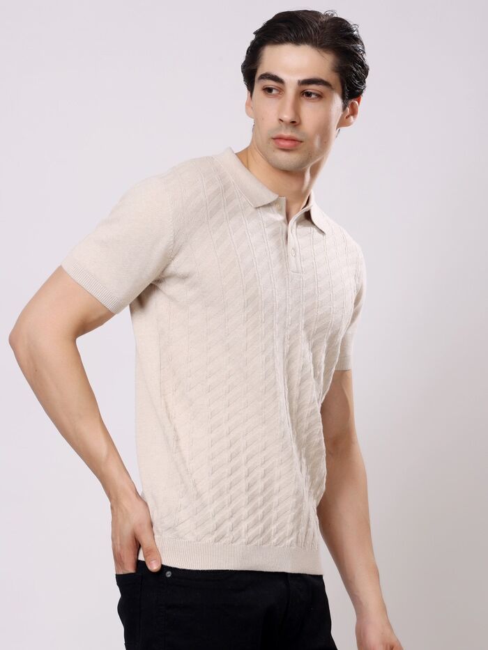 Regular Fit Half Sleeve Solid Casual Polo T-Shirt Beige - Image 2